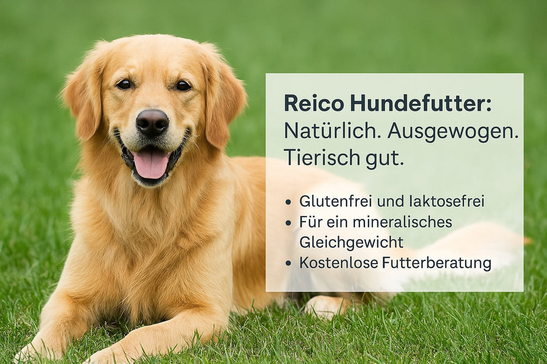 Reico Hundefutter: Natürlich. Ausgewogen. Tierisch gut.