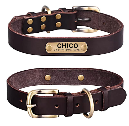 Collar para perro de cuero auténtico con hebilla de latón en cuatro colores y grabado gratuito del nombre y el número de teléfono