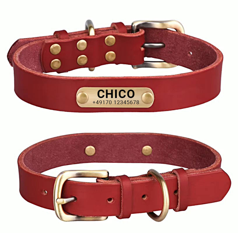 Collar para perro de cuero auténtico con hebilla de latón en cuatro colores y grabado gratuito del nombre y el número de teléfono