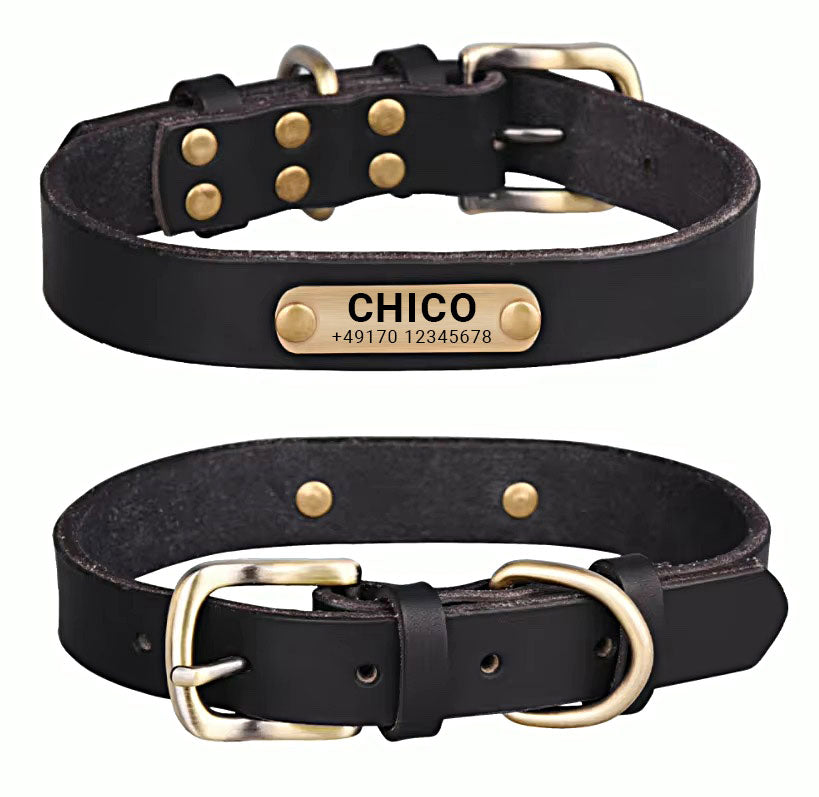 Collar para perro de cuero auténtico con hebilla de latón en cuatro colores y grabado gratuito del nombre y el número de teléfono