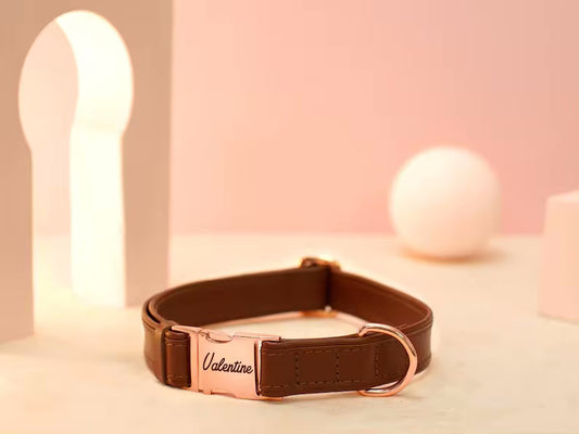 Collar para perro vegano con nombre y número de teléfono en colores fuertes