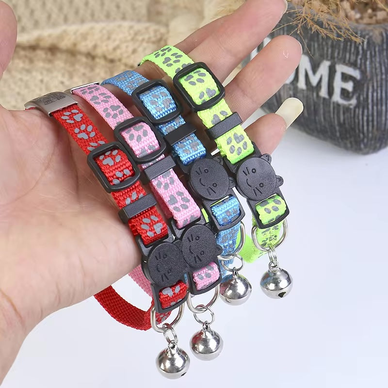 Collar para gato grabado con nombre y número de teléfono