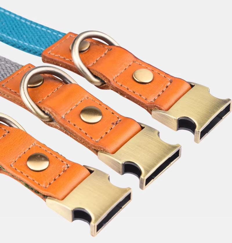 Collar para perro "Valdo" con grabado - robusto tejido PE y cuero - latón mate - azul marino, azul claro o verde (S-L)