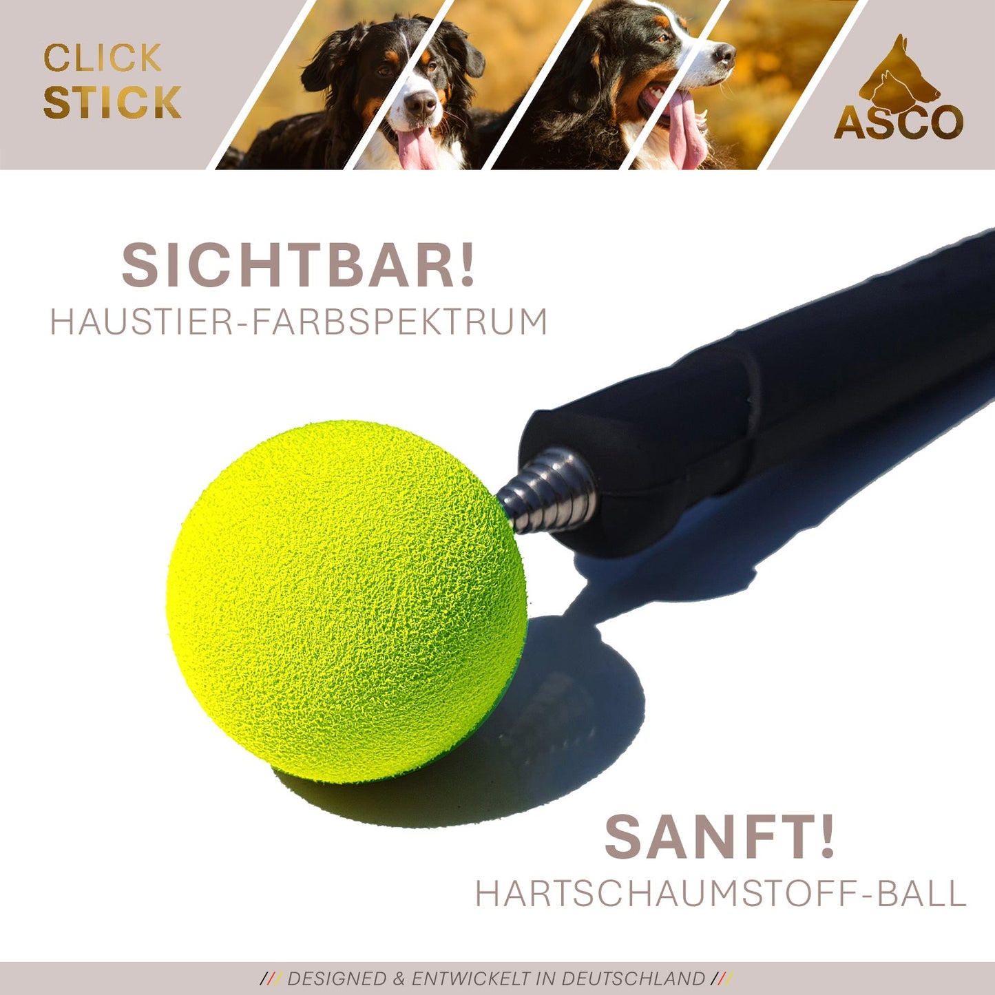ASCO ClickStick - Target stick con clicker premium desmontable - Target stick para adiestramiento con clicker de perros y gatos - Target stick extensible con clicker extra - Target stick para adiestramiento de objetivos