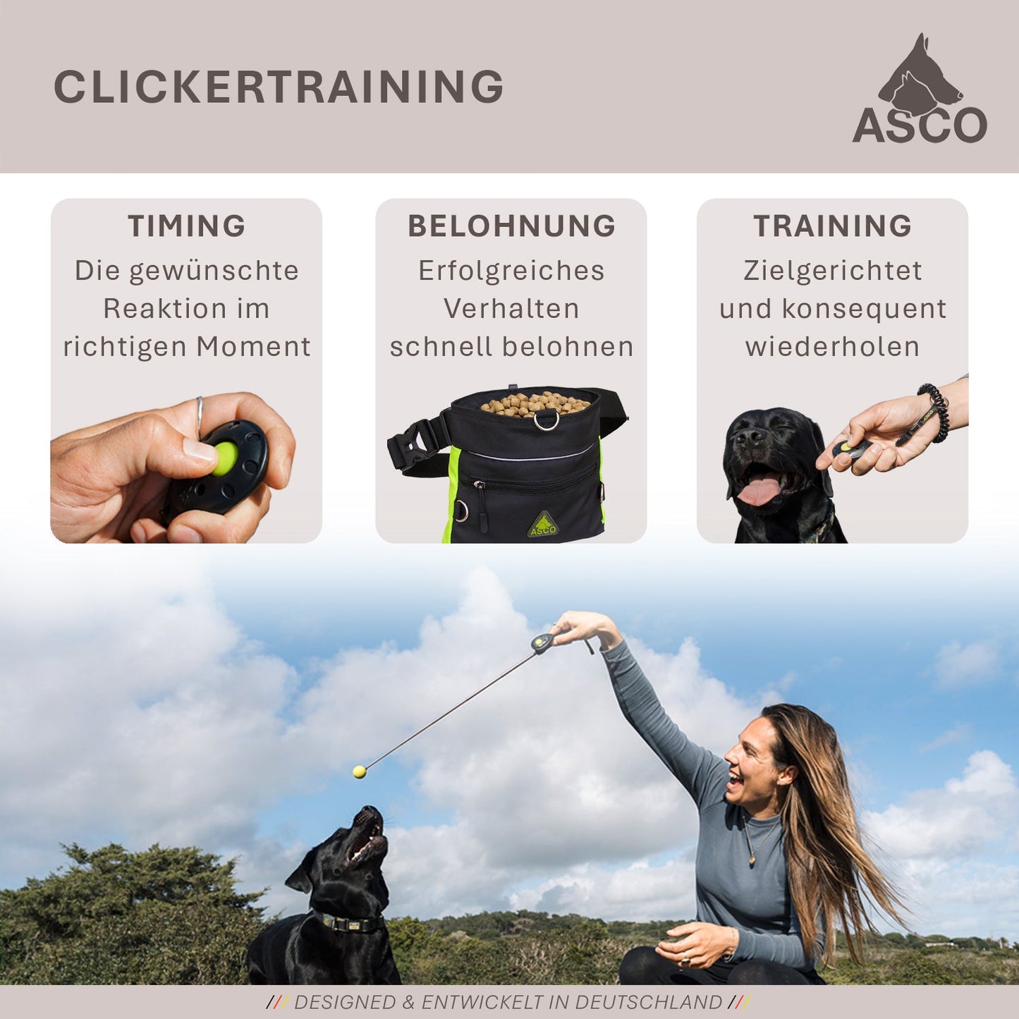 ASCO ClickStick - Target stick con clicker premium desmontable - Target stick para adiestramiento con clicker de perros y gatos - Target stick extensible con clicker extra - Target stick para adiestramiento de objetivos