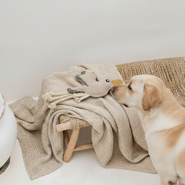 BUDDY. Juguete para perros de cuero "Gaviota"