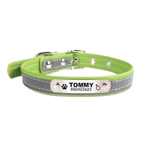 Collar de perros grabado con nombre y teléfono. reflexivo
