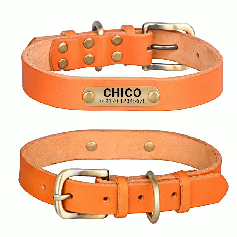 Collar para perro de cuero auténtico con hebilla de latón en cuatro colores y grabado gratuito del nombre y el número de teléfono