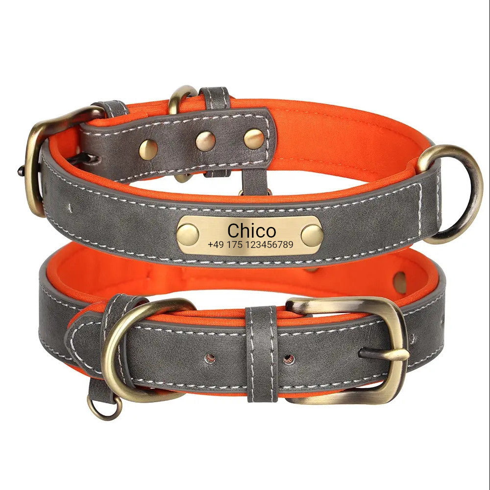 Fresco collar de perro con el grabado gris, naranja malla de neopreno en el interior, anillo para placas de identificación