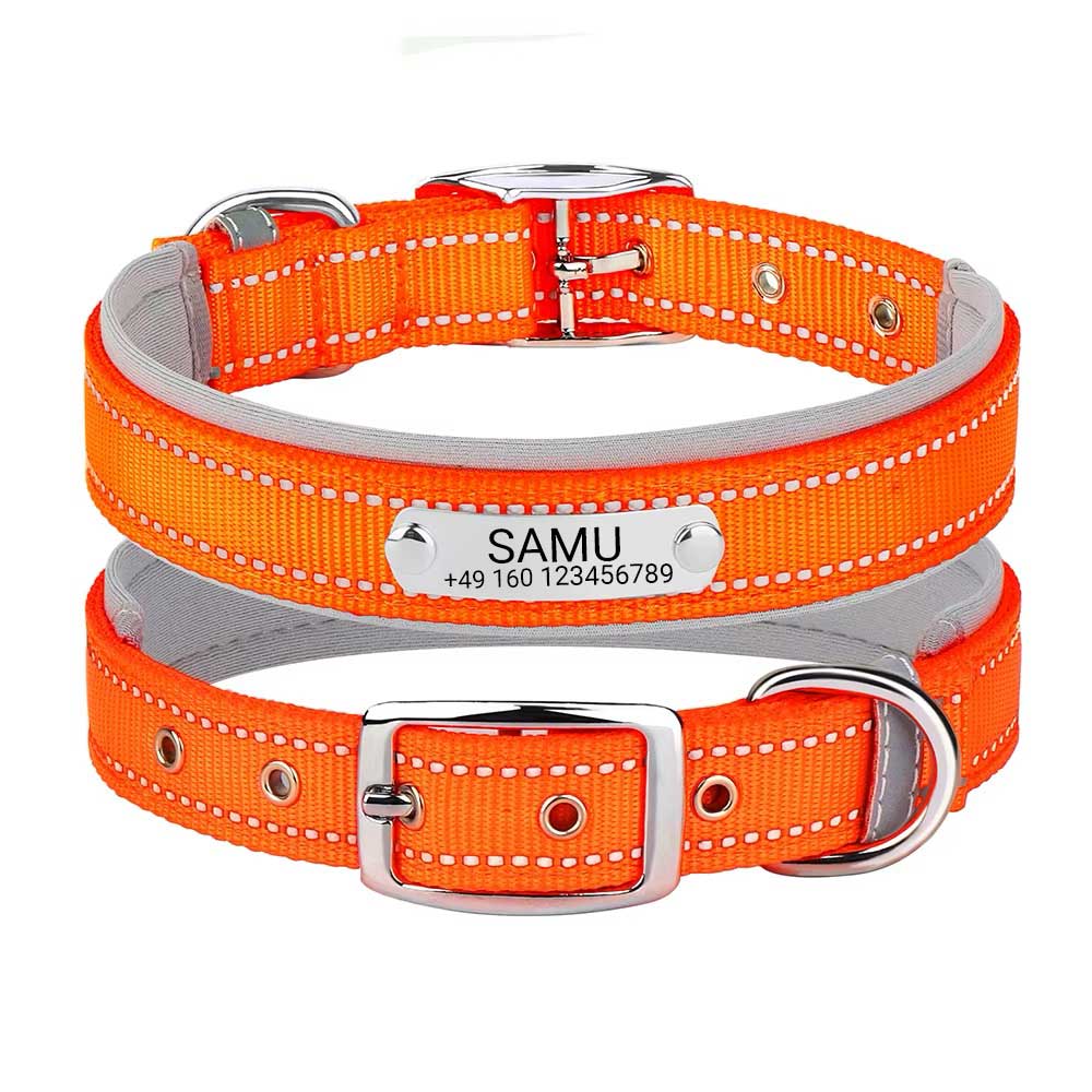 Collar para perro grabado "Samu" con costuras de seguridad reflectantes. Personalización con nombre y número de teléfono.