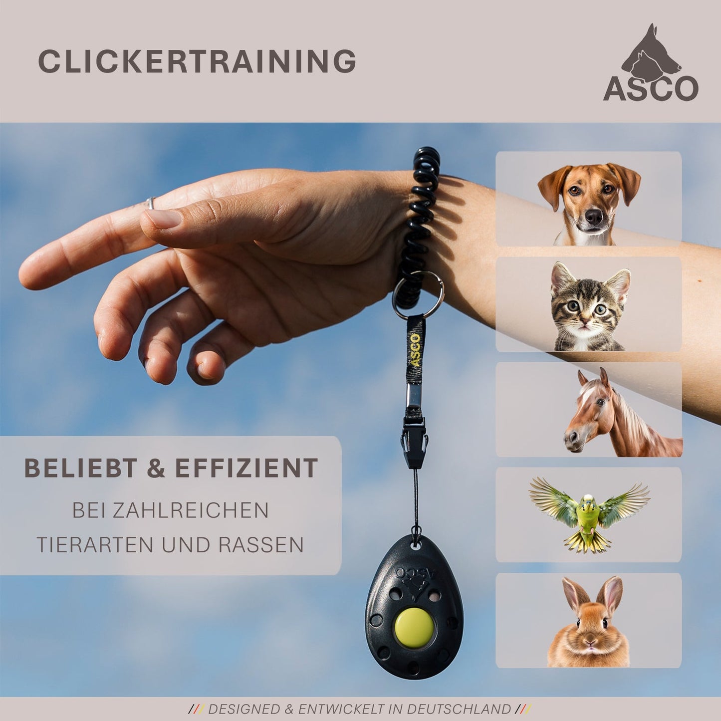 ASCO Finger Clicker - Clicker de adiestramiento premium para perros, gatos, caballos