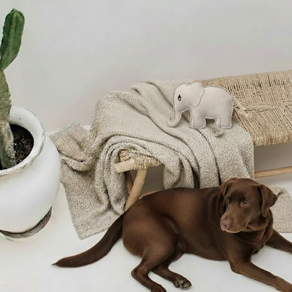 BUDDY. Juguete para perros de cuero "Elefante" 