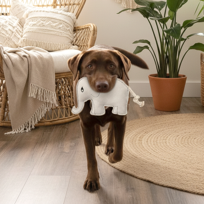 BUDDY. Juguete para perros de cuero "Elefante" 