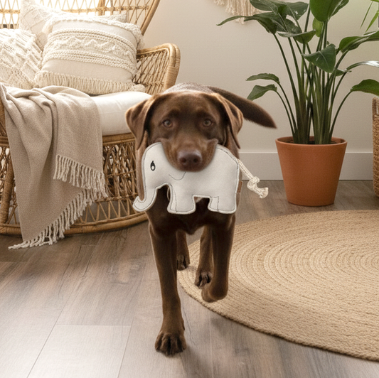 BUDDY. Juguete para perros de cuero "Elefante" 